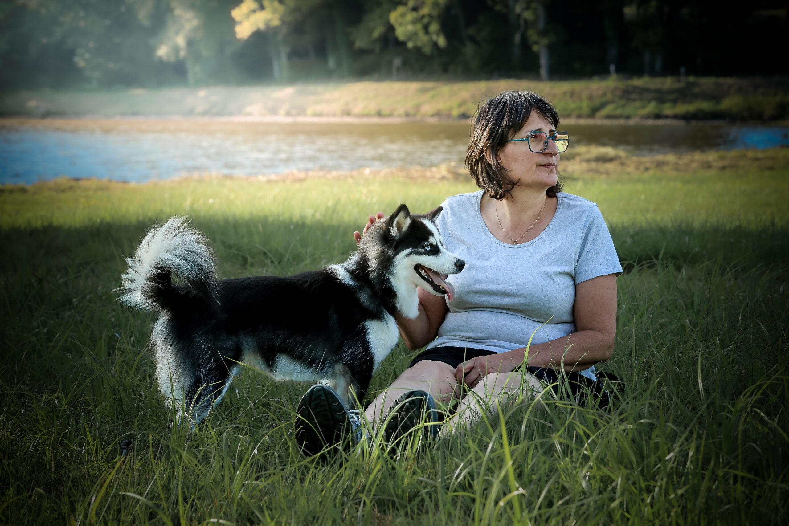 Manipulation douce d'un chiot Pomsky